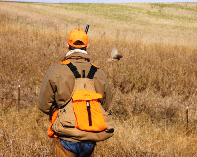 Rooster Road Trip For the Public Land Pheasant Hunter Theodore Roosevelt Conservation Partnership