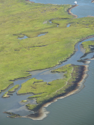 Louisiana-GOHSEP_web | Theodore Roosevelt Conservation Partnership