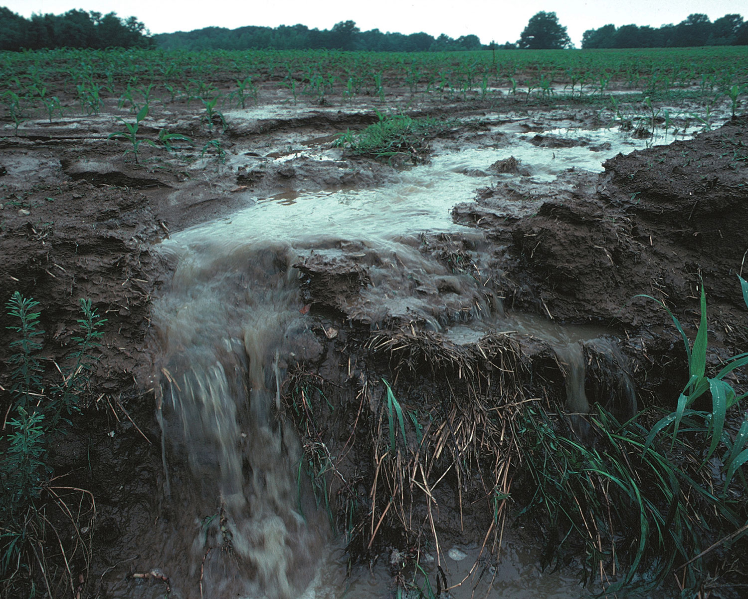 Водоемы почва