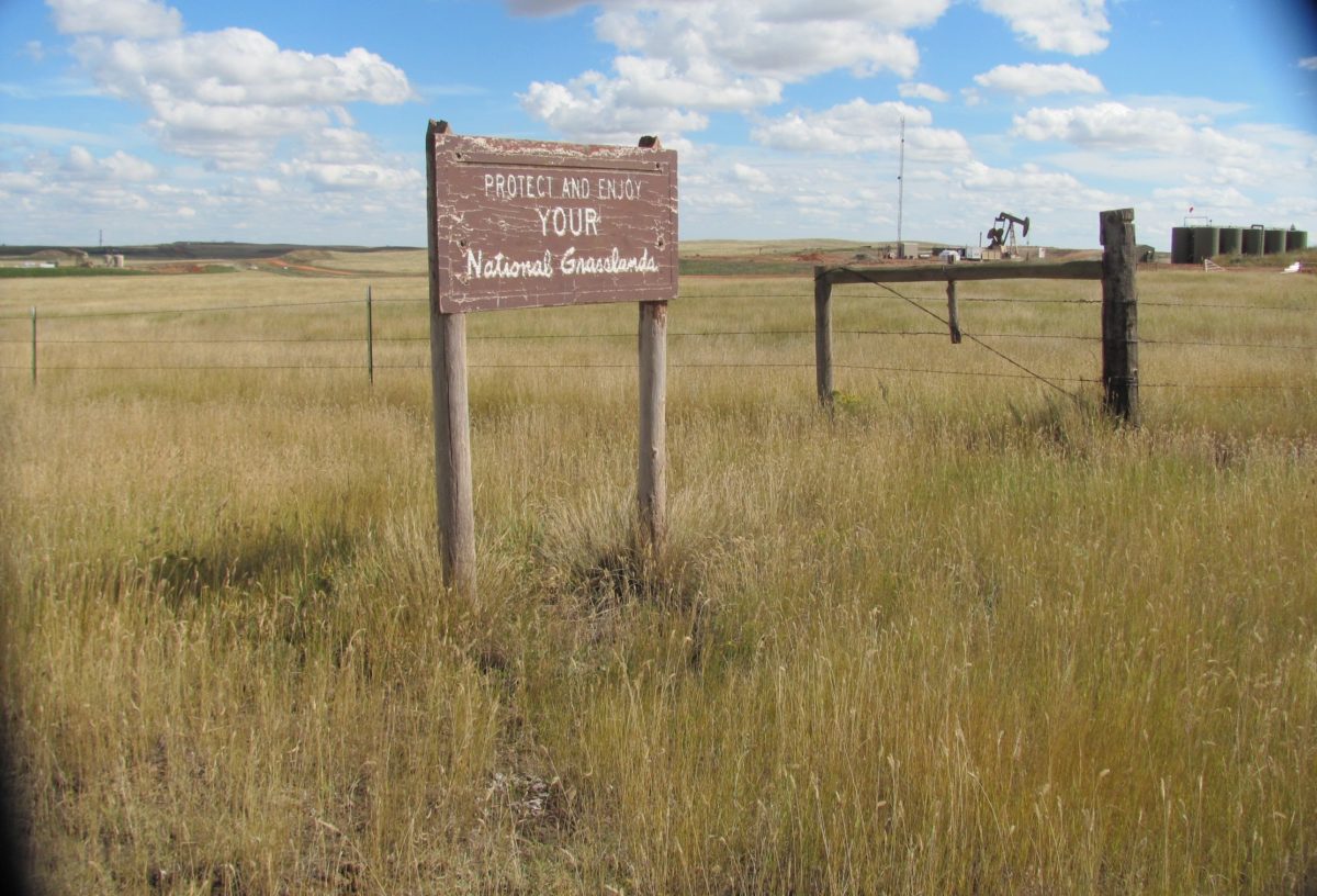 Protect Our Grasslands Theodore Roosevelt Conservation Partnership