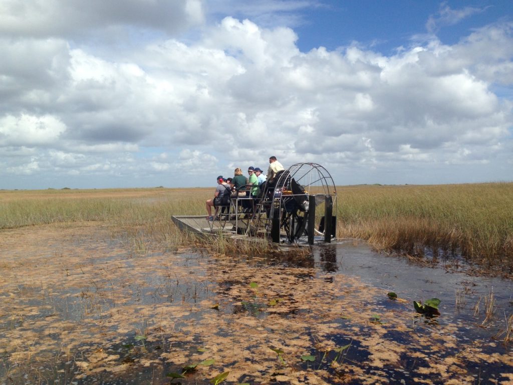 Everglades | Theodore Roosevelt Conservation Partnership