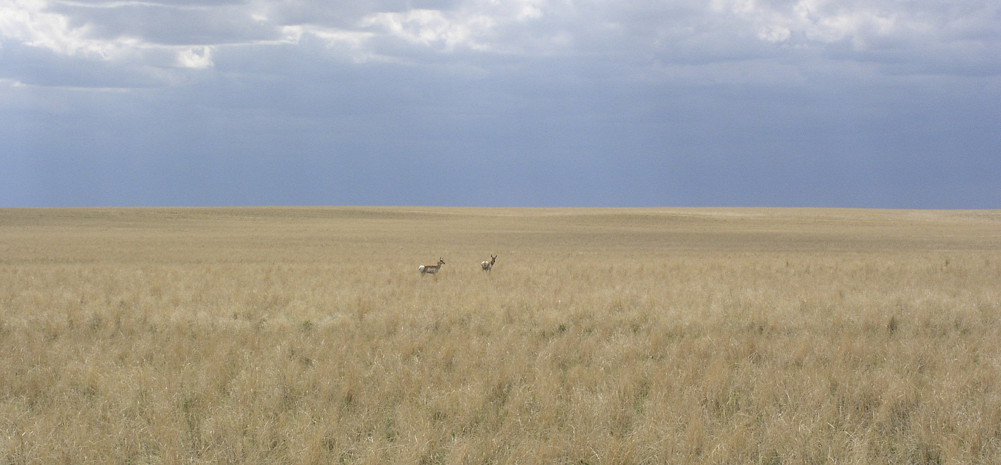 What The F rm B ll Happened To CRP Theodore Roosevelt Conservation 