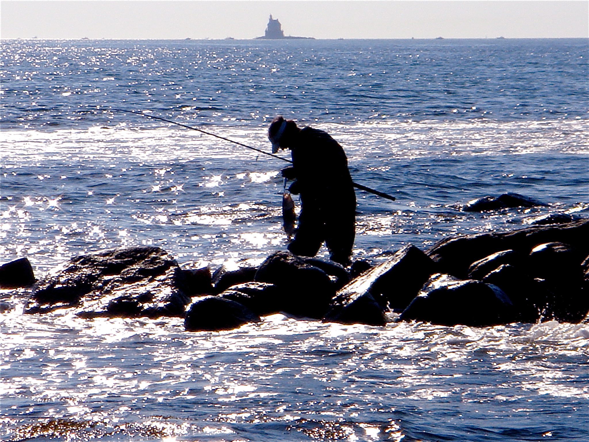 Striped bass reductions working, need to formalize conservation measures