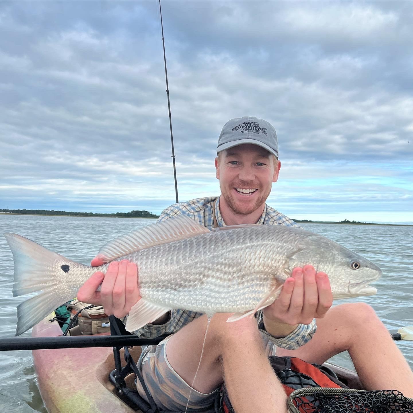 <b>Redfish</b> are one of many sportfish that rely on menhaden, which make up 20 percent of their diet in the Gulf of Mexico. Photo credit: Andrew Knight