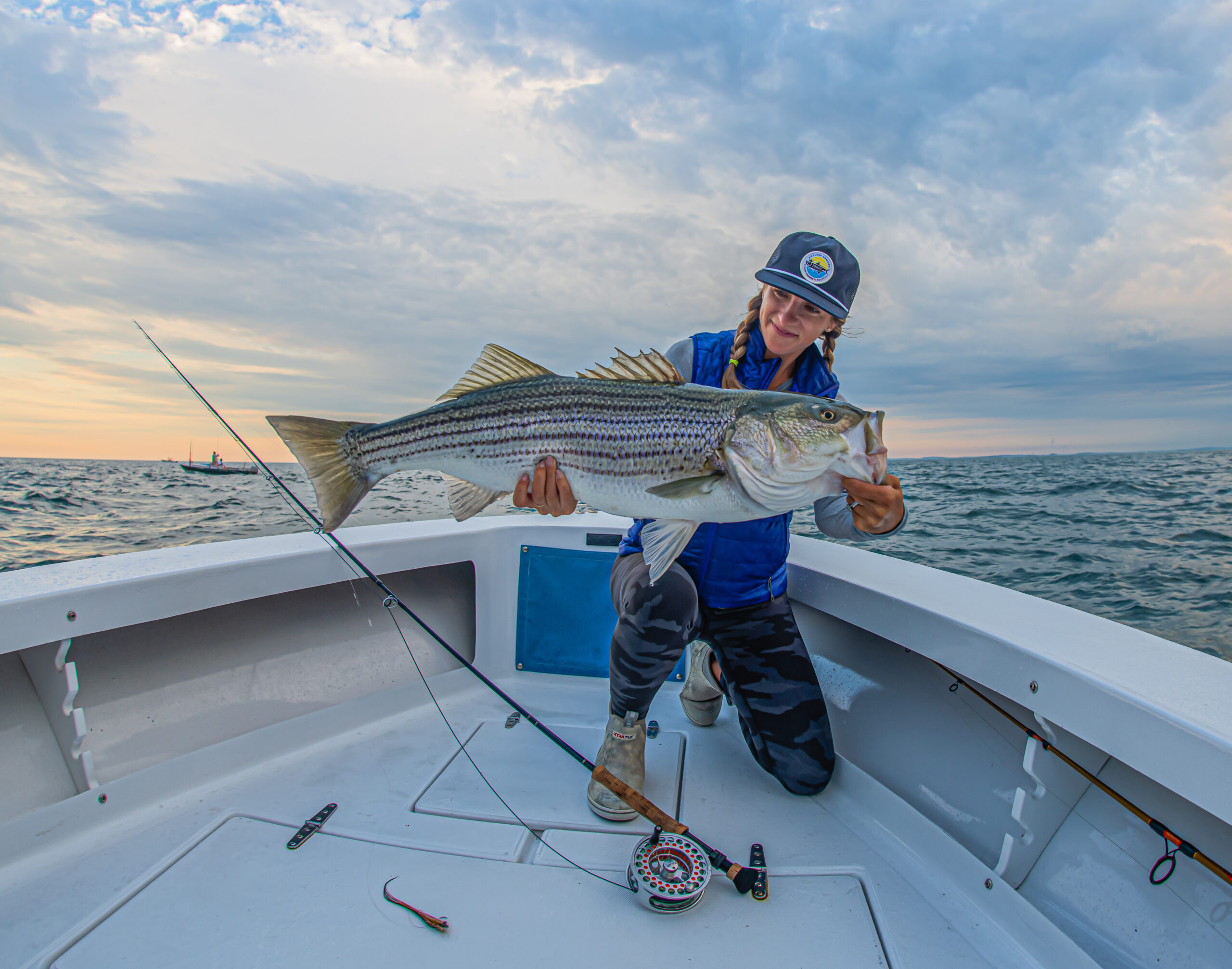 <b>Striped bass</b> feed on menhaden and herring; menhaden reduction fishing has been shown to contribute to a nearly 30-percent decline in their coastwide population.