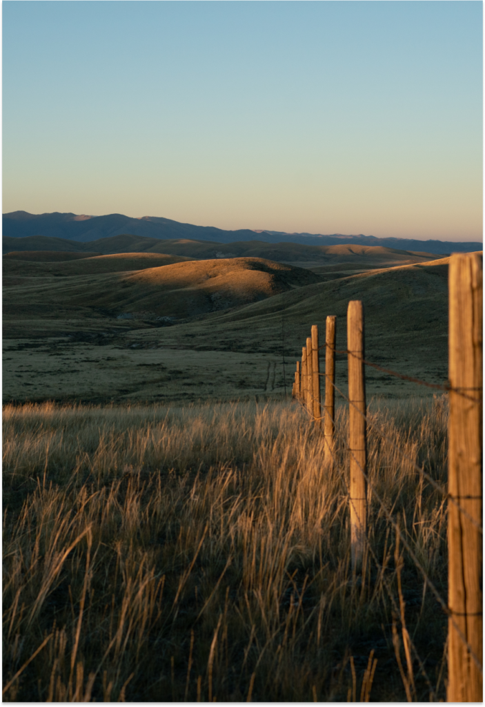 a fence in the middle of a vast expanse of field